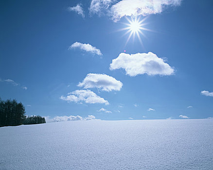 雪原,太阳