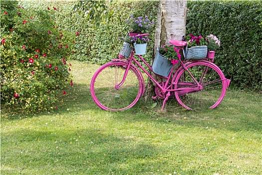粉色,自行车,花,站立,装饰,花园