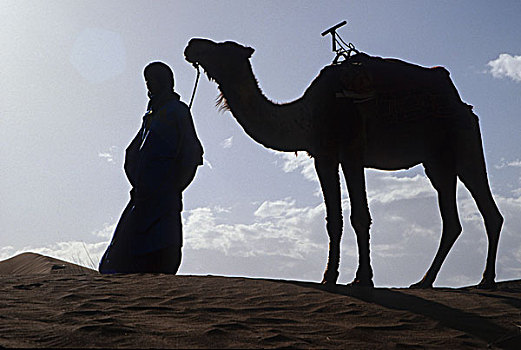 非洲,摩洛哥,靠近,扎古拉棉,男人,传统服饰,骆驼