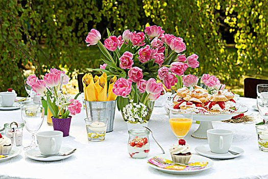 成套餐具,咖啡,花园,盘子,空心甜饼,花瓶,粉色,郁金香