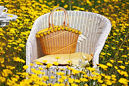 白色,柳条椅,草地,黄花