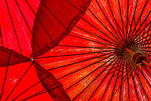 传统,红色,伞,清迈,清迈省,北方,泰国,亚洲