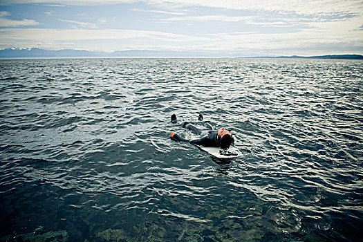 冲浪,背影,冲浪板,水,维多利亚,不列颠哥伦比亚省,加拿大