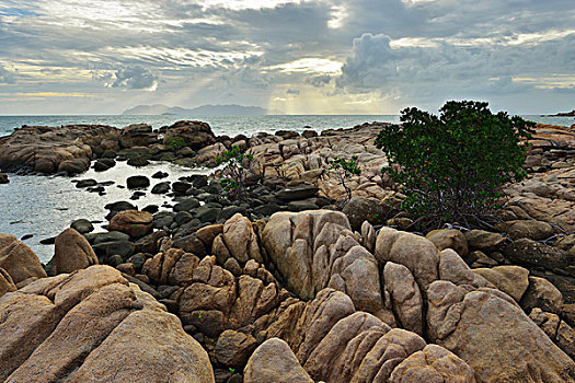 花冈岩,海岸线,早晨,马掌,湾,昆士兰,澳大利亚