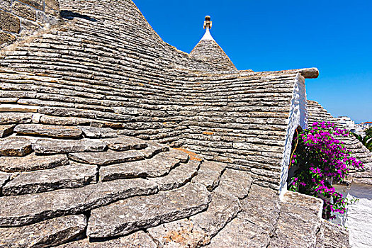 锥形石灰板屋顶,阿贝罗贝洛,普利亚区,地区,意大利,欧洲