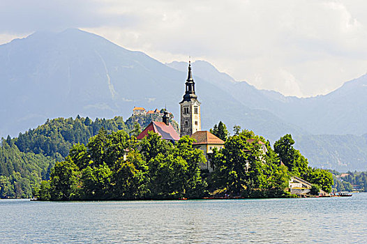 教堂,岛屿,布莱德湖,斯洛文尼亚