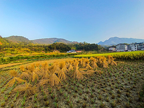 山野乡村,田园风光