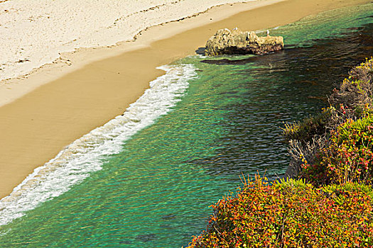 海滩,罗伯士角州立保护区,加利福尼亚,美国