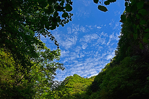 河南省平顶山市鲁山县尧山