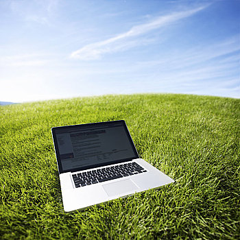 静物,笔记本电脑,草地