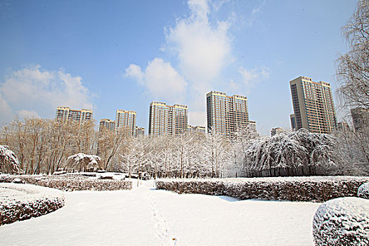 城市,公园,雪,楼房