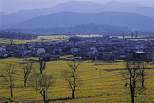 安徽,黄山,徽州,民居,油菜花,日全食,宝塔