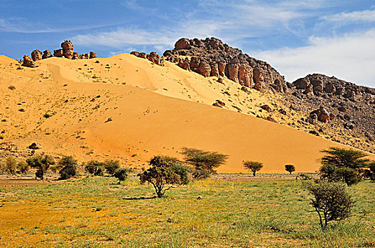 山,遮盖,沙子,沙丘,路线,阿德拉尔,区域,毛里塔尼亚,非洲