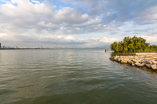 深圳湾公园