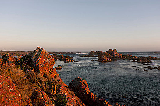 岩石海岸,湾,塔斯马尼亚,澳大利亚