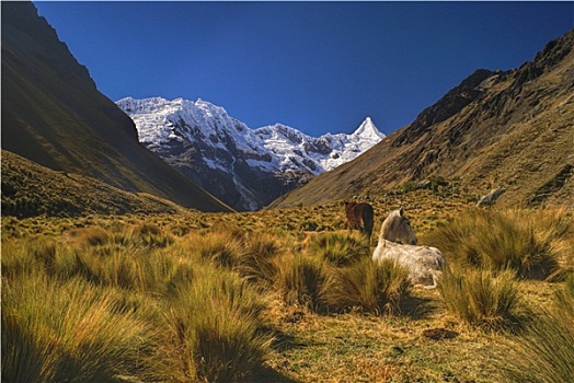 秘鲁,安第斯山