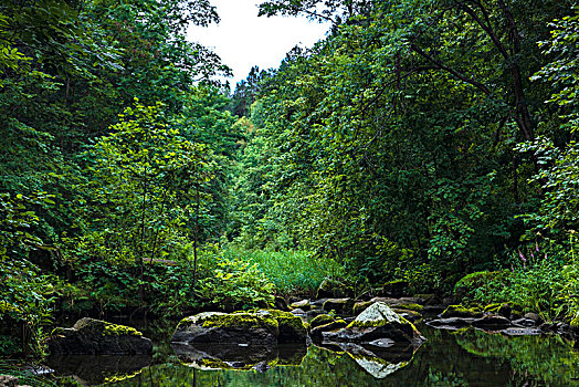 茅兰沟国家地质森林公园