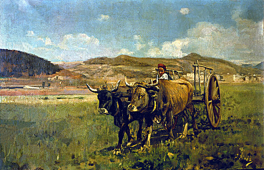 风景,耕作,母牛