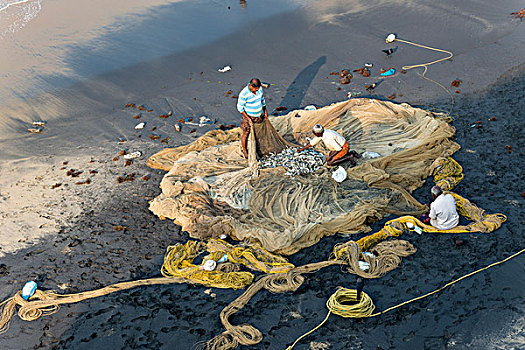 渔民,检查,渔网,海滩,喀拉拉,印度,亚洲