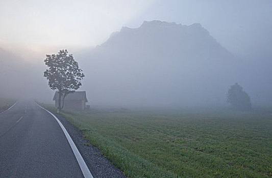 乡间小路,树,木屋,早晨,雾气,奥地利,山,山丘