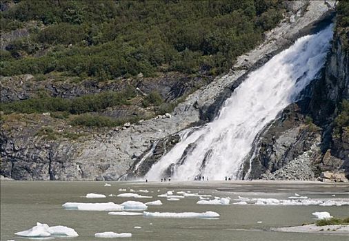 冰山,棉田豪冰河,正面,块,瀑布,东南阿拉斯加,夏天