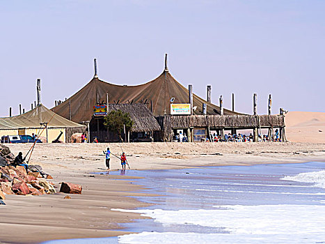 餐馆,虎,礁石,海滩,斯瓦科普蒙德,纳米比亚,非洲