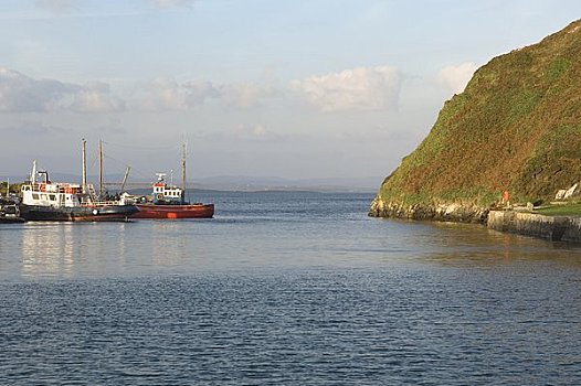 渔船,港口,岬角,清晰,岛屿,科克郡,爱尔兰