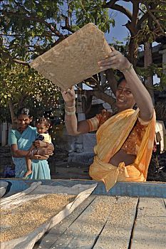 女人,清洁,米饭,印度,南亚