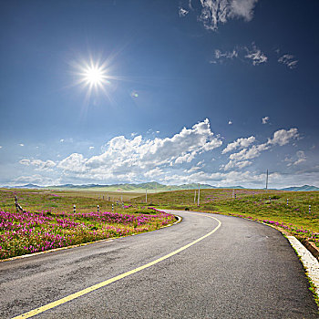 沥青,道路,绿色,地点,云,蓝色背景,天空,夏天