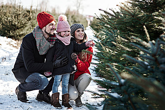 女孩,父母,看,树林,圣诞树