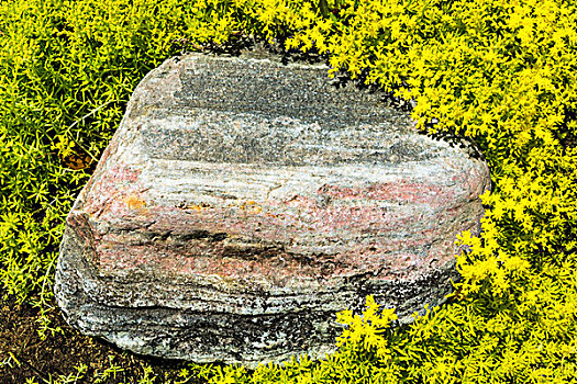 大花岗岩石,草绿色的岩石