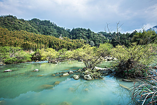 溪流景色