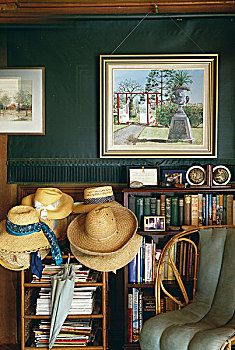 房子,昆士兰,室内,软垫,罐,椅子,书架,收集,夏天,草帽