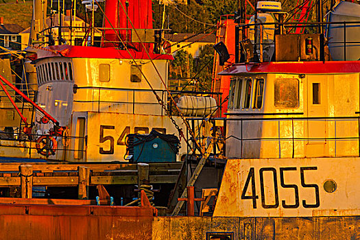 渔船,停靠,港口,卢嫩堡,新斯科舍省,加拿大