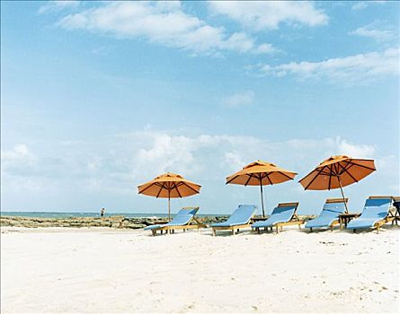 太阳,椅子,伞,海滩