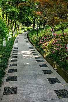 重庆市渝北区龙头寺公园园艺草坪上的人行小道