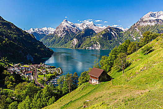 阿尔卑斯草甸,高处,乡村,正面,攀升,安静,积雪,瑞士