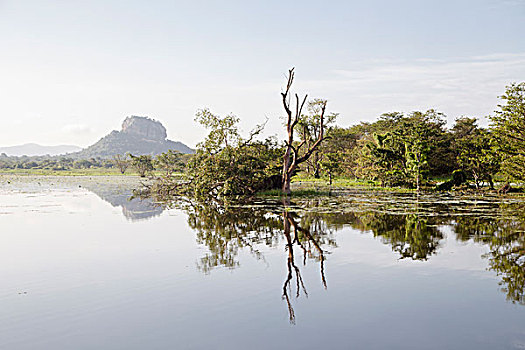 湖,风景,锡吉里耶,石头,背景