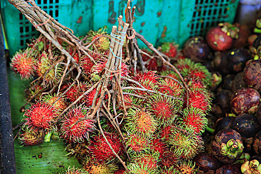 泰国水果