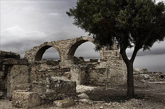 孤树,遗址,古建筑,罗马,阿哥拉,遗迹,库伦古剧场,靠近,利马索,塞浦路斯,欧洲