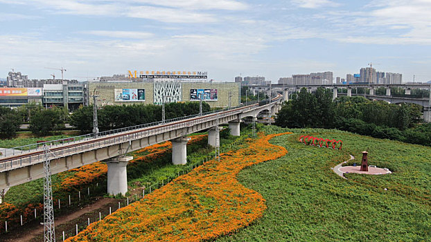 山东省日照市,碳汇公园花团锦簇,市容环境华丽蜕变