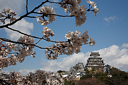 日本,本州,兵库,姬路城堡