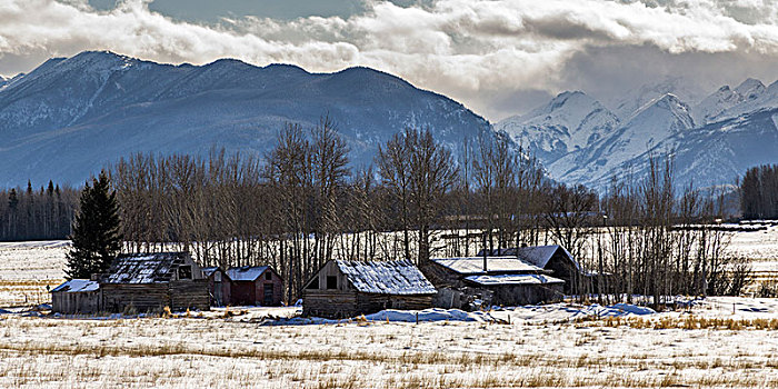 农舍,雪中,遮盖,地点,公路,不列颠哥伦比亚省,加拿大