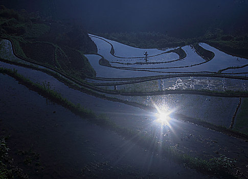 梯田,田园,田野,春色,雾,春雨,绿色