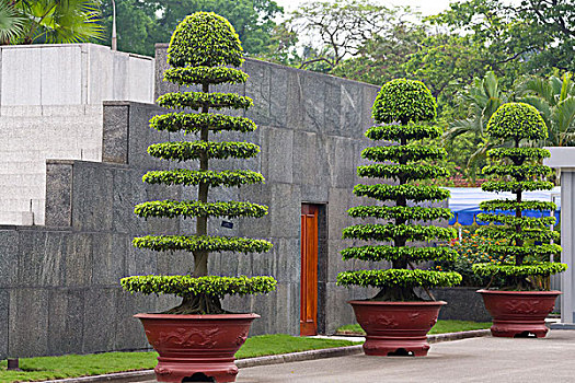植物,胡志明墓,河内,越南
