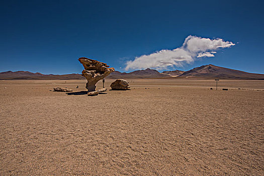 玻利维亚乌尤尼山区沙漠石头树国家公园