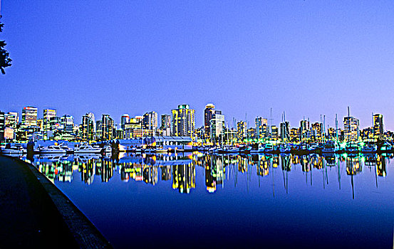 温哥华,城市,夜晚,史坦利公园,不列颠哥伦比亚省,加拿大