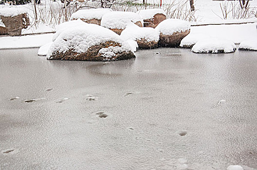 雪后冰冻的水池