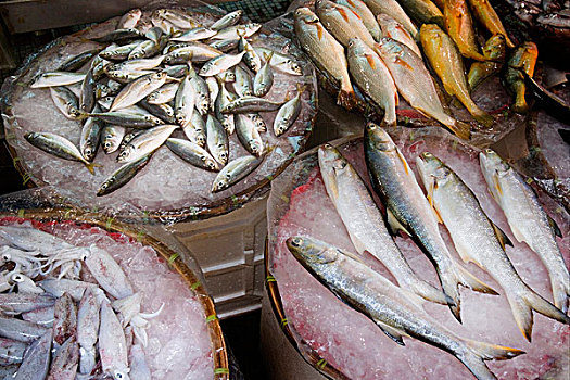 鱼肉,鱿鱼,出售,市场货摊,新界,香港,中国,亚洲