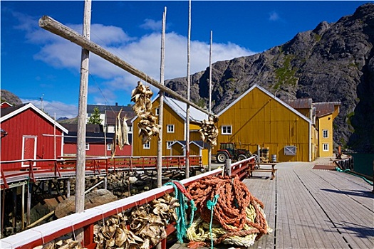 渔业,挪威